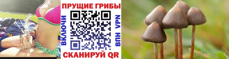 кракен зеркало  Нижний Ломов  Галлюциногенные грибы ЛСД 